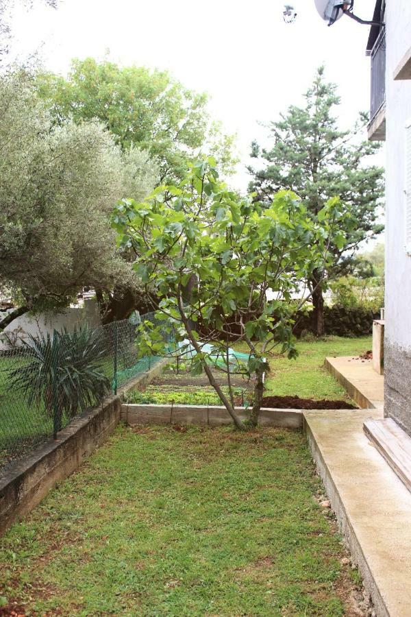 Turkovic Apartments Zgaljic المظهر الخارجي الصورة