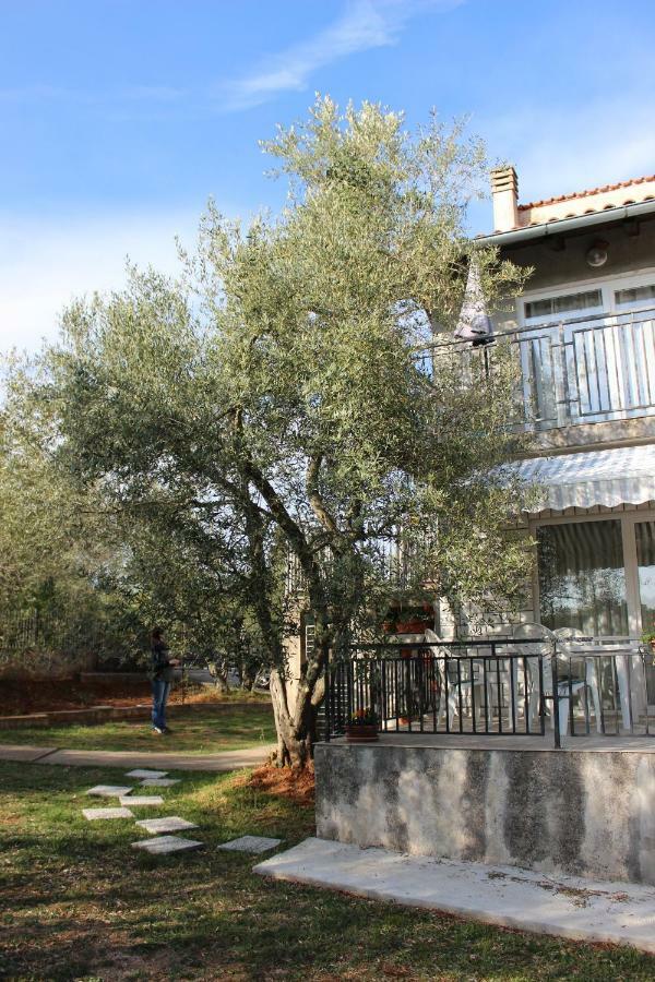 Turkovic Apartments Zgaljic المظهر الخارجي الصورة